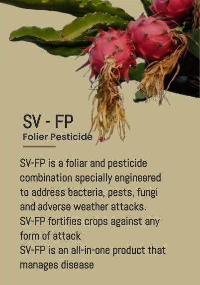 Application Image 2