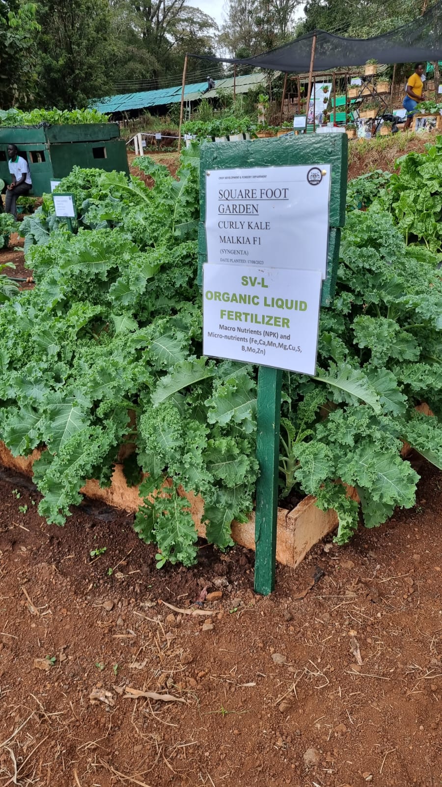 SV-L performance during  Nairobi International Trade Fair