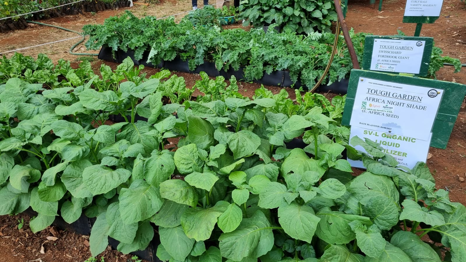 Nairobi Trade International Fair Managu growing with SV-L